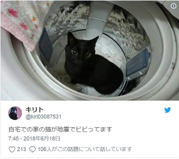 圖片6 圖片6