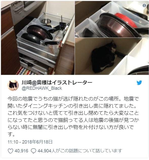 圖片7 圖片7