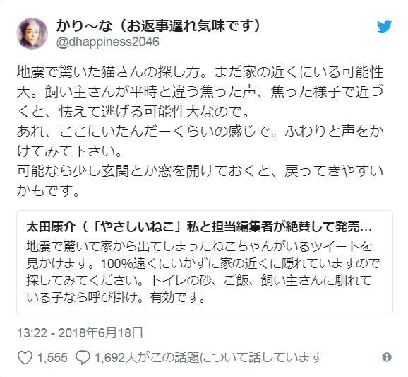 圖片11 圖片11
