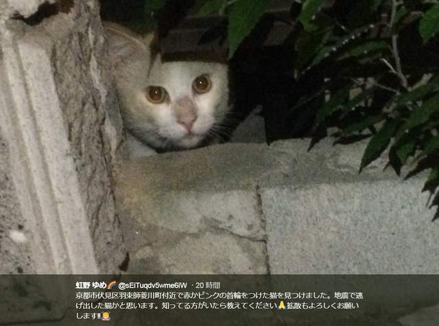 圖片12 圖片12