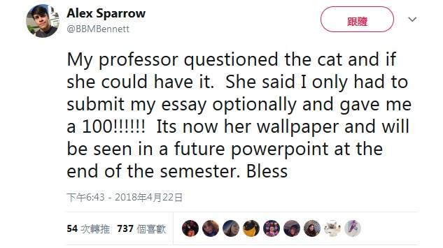 圖片11 圖片11