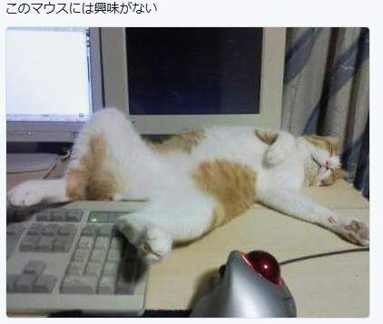 圖片4 圖片4