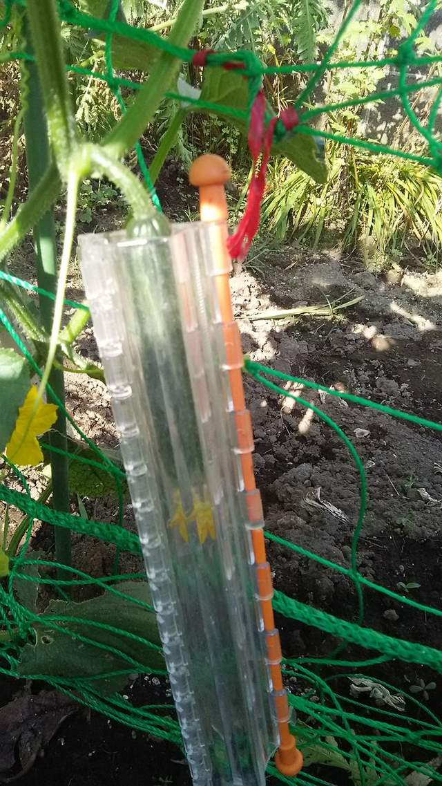 圖片7 圖片7