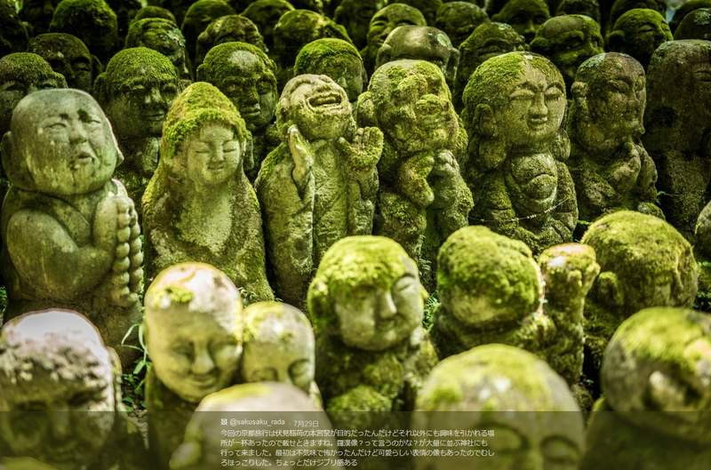 圖片7 圖片7
