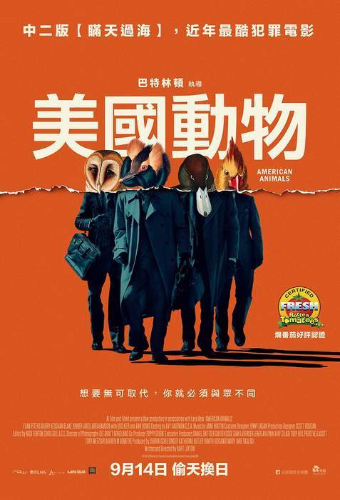 圖片13 圖片13