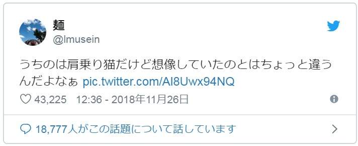 圖片10 圖片10