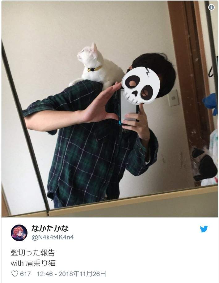 圖片4 圖片4
