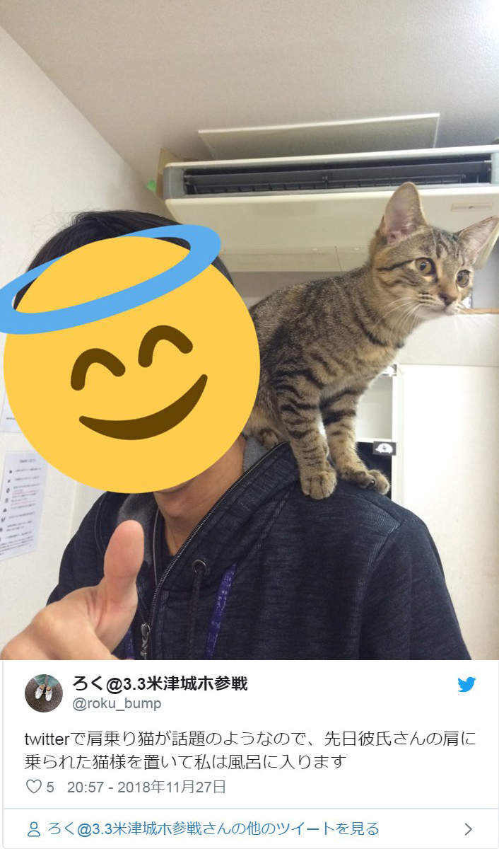 圖片5 圖片5