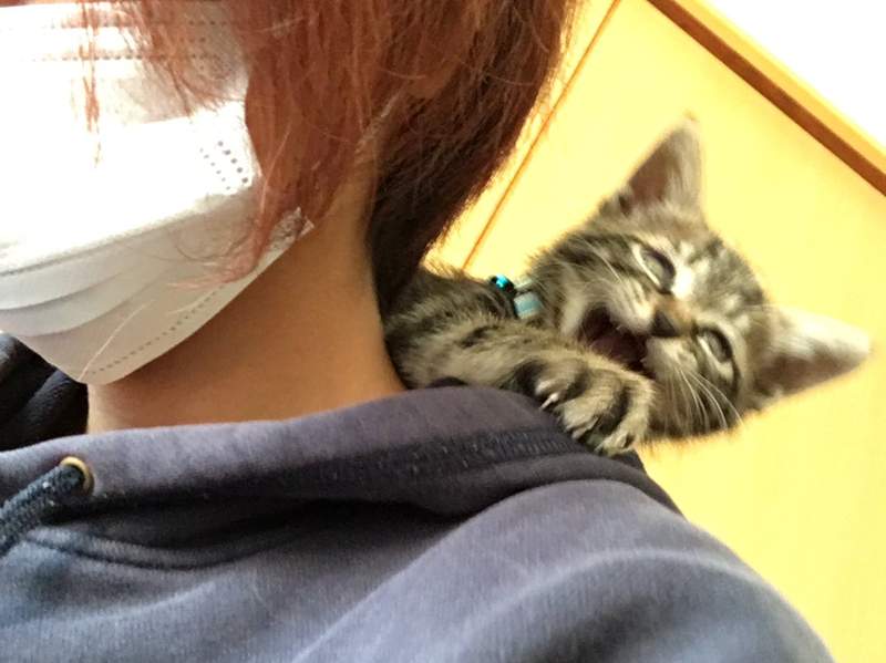 圖片9 圖片9