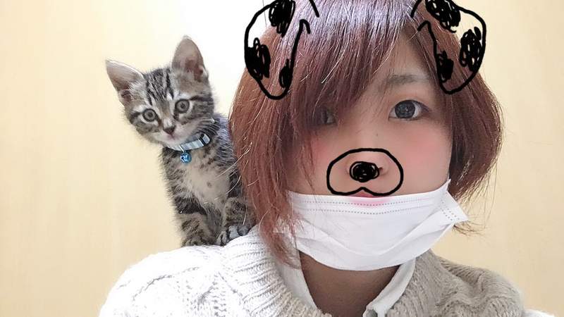 圖片8 圖片8