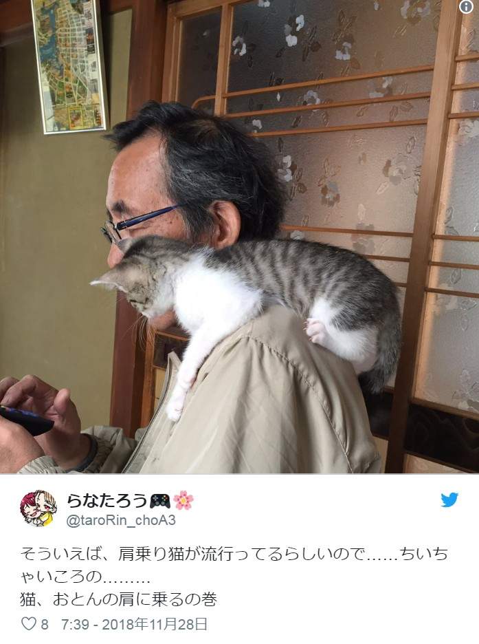圖片6 圖片6