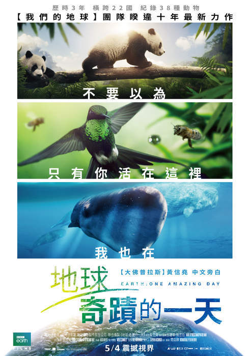 圖片4 圖片4