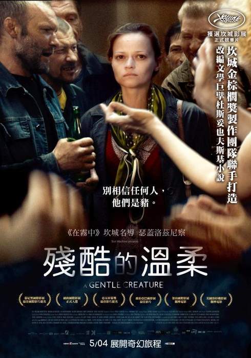 圖片13 圖片13