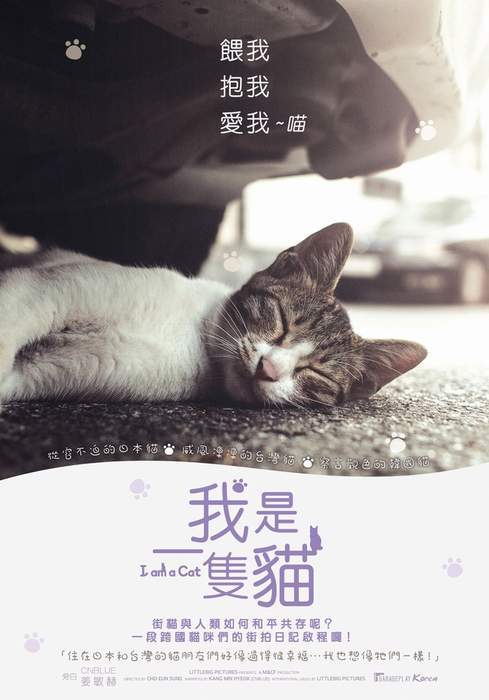 圖片9 圖片9