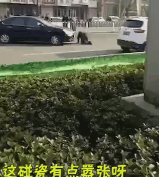 圖片7 圖片7