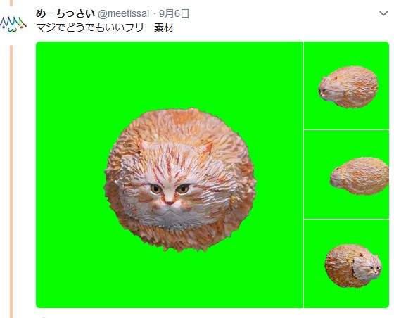 圖片6 圖片6