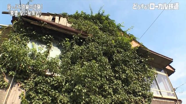 圖片13 圖片13