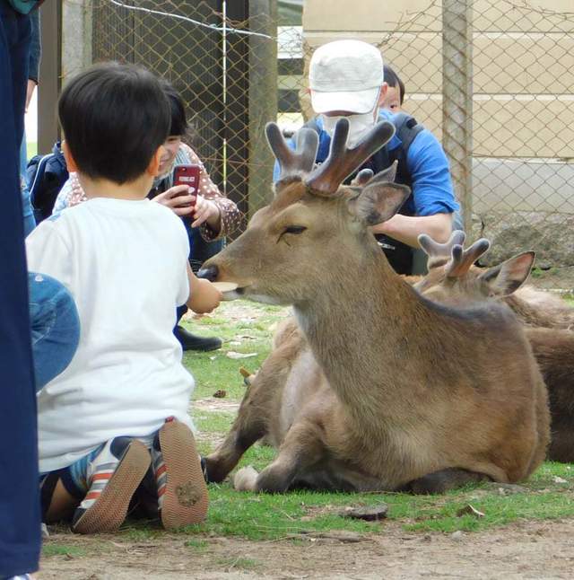 圖片4 圖片4