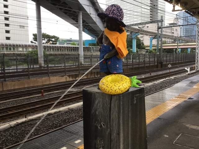 圖片6 圖片6