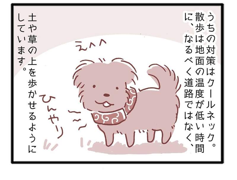 圖片9 圖片9