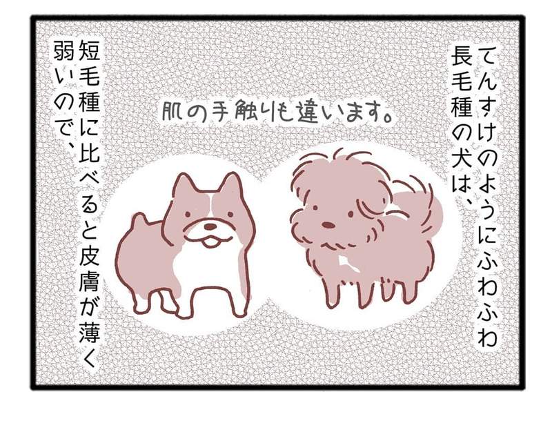 圖片5 圖片5