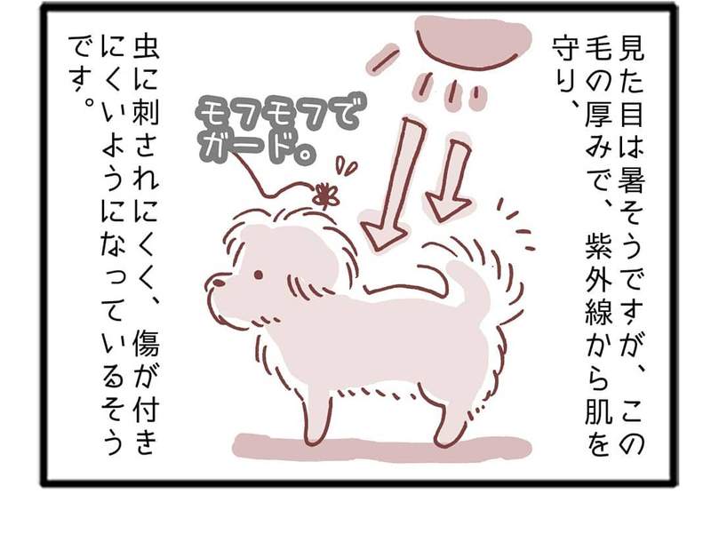 圖片7 圖片7