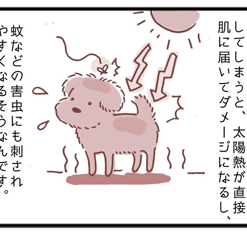 圖片6 圖片6