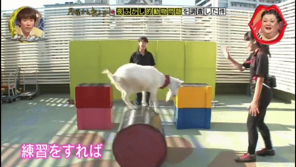 圖片10 圖片10