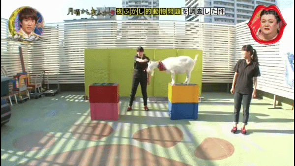 圖片7 圖片7
