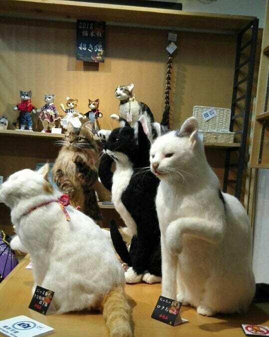 圖片5 圖片5