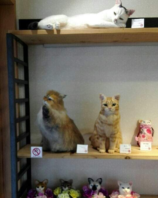 圖片6 圖片6
