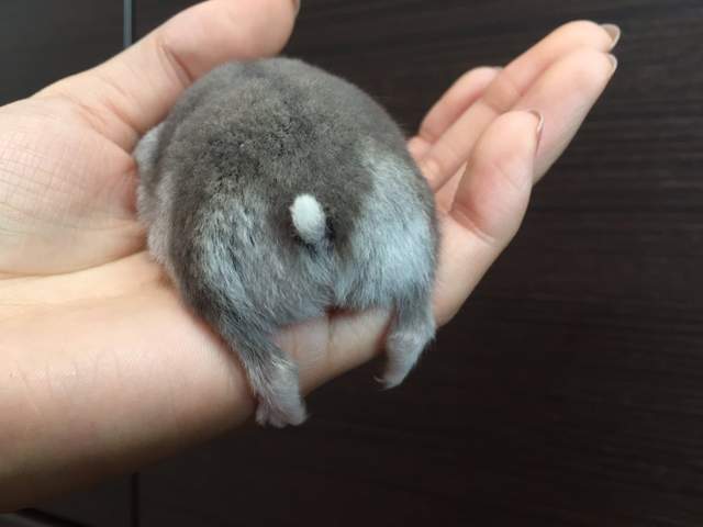 圖片5 圖片5