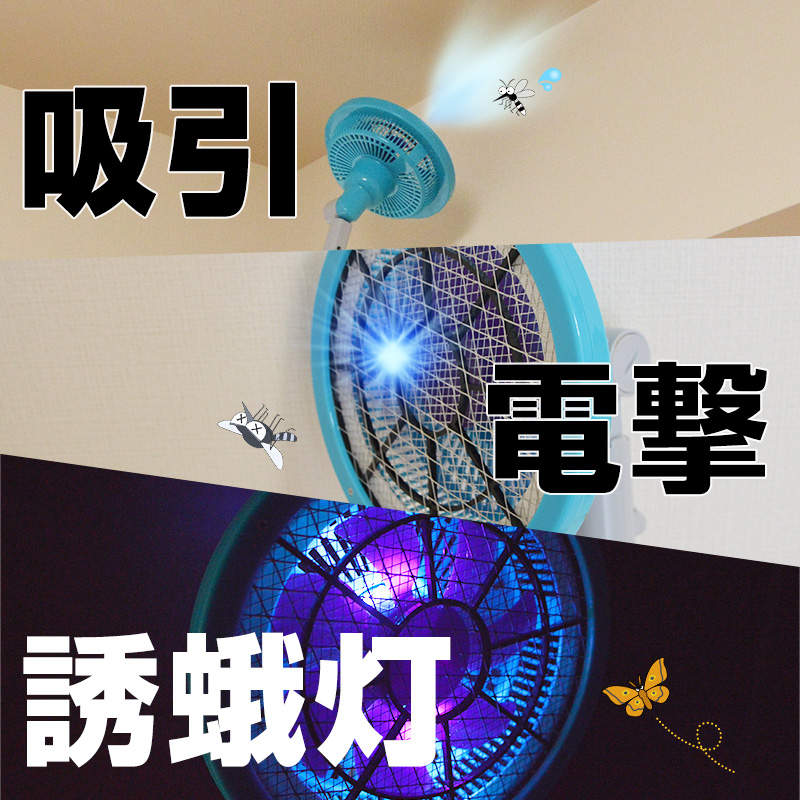 圖片5 圖片5