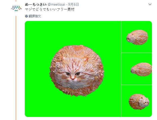 圖片4 圖片4