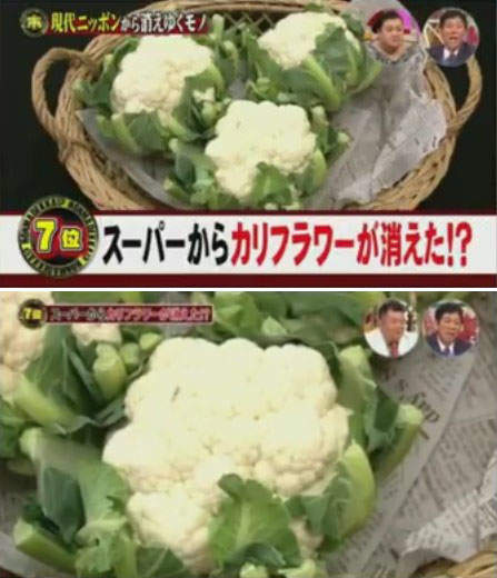 圖片11 圖片11