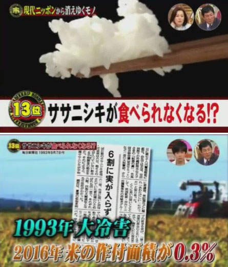 圖片5 圖片5
