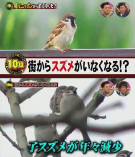 圖片8 圖片8