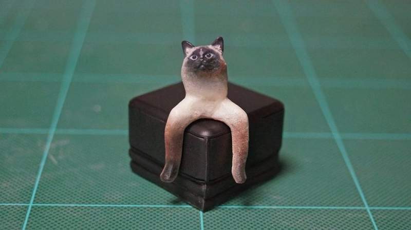 圖片5 圖片5