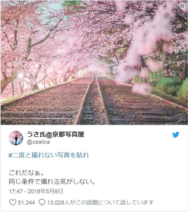 圖片12 圖片12