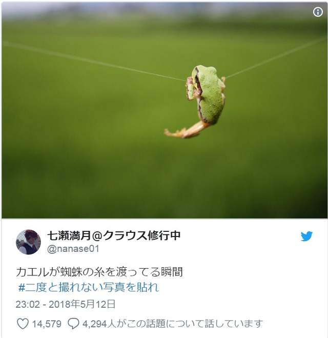 圖片17 圖片17