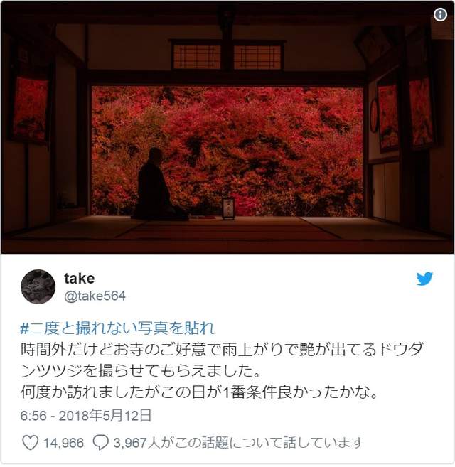 圖片11 圖片11