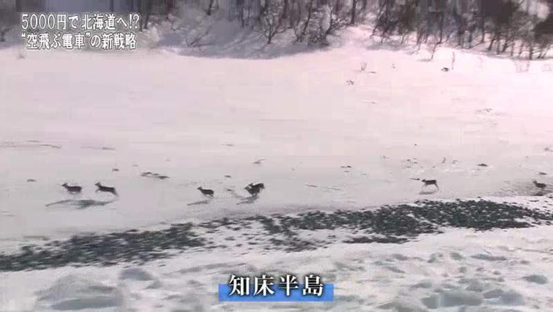 圖片10 圖片10