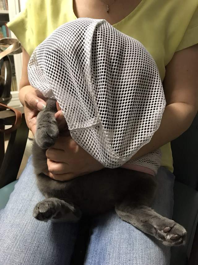 圖片4 圖片4