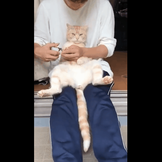 圖片5 圖片5