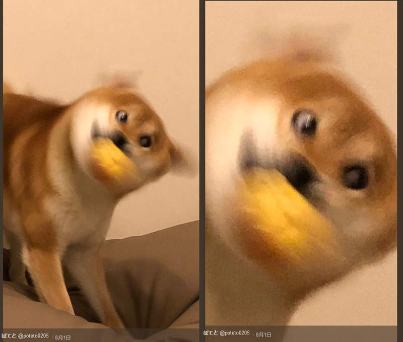 圖片4 圖片4