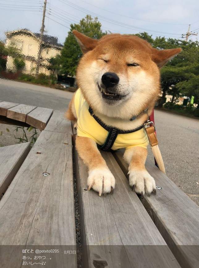 圖片5 圖片5