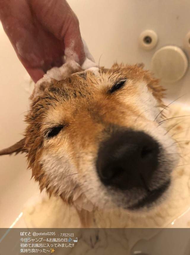 圖片7 圖片7