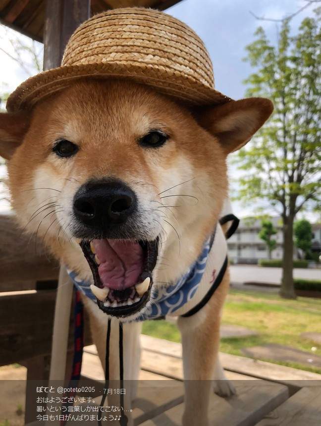 圖片8 圖片8