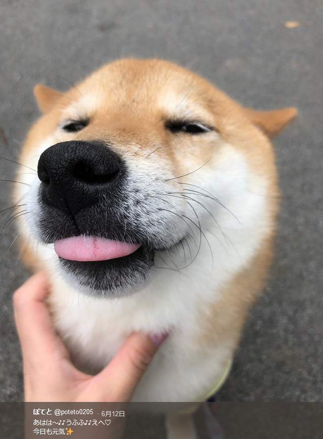 圖片9 圖片9