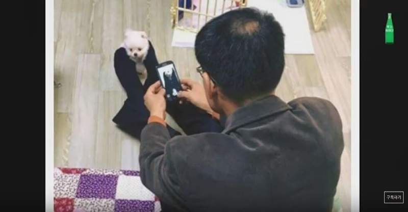 圖片5 圖片5